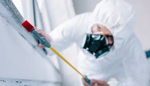 Pest Control for Hotels in Fussels Corner, FL